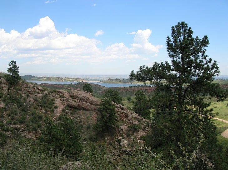 View None