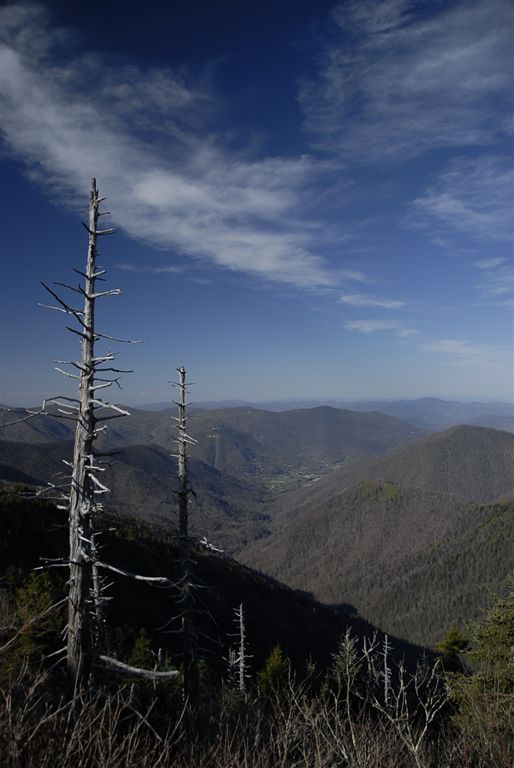 View from Browning Knob None
