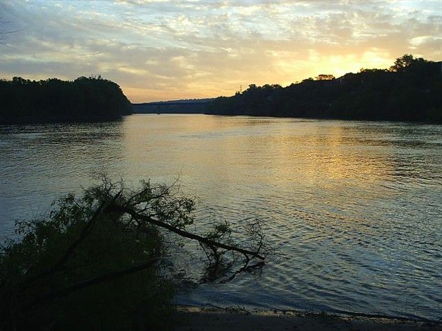 View from E tip of Pike Island None