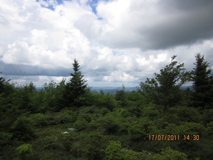 View from Spruce Mountain None