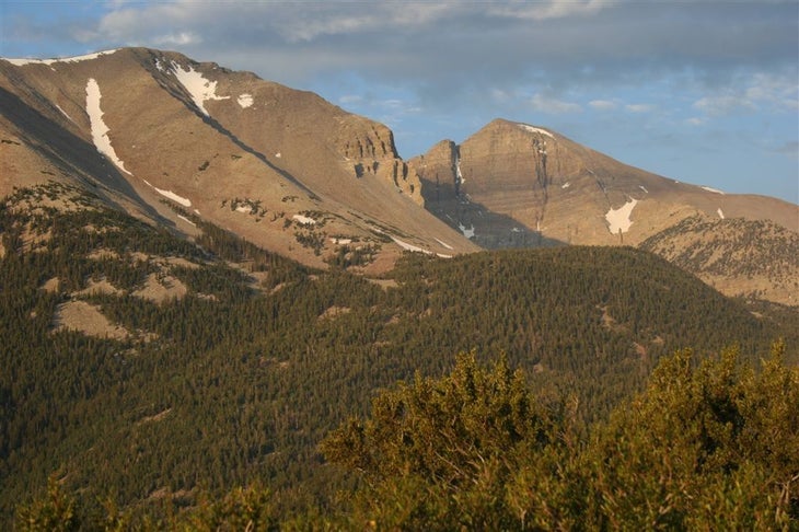 View from the road None