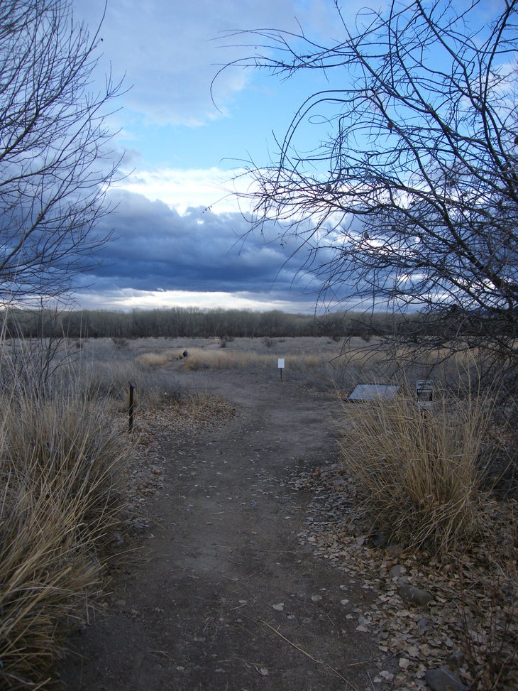 View from the Trailhead None