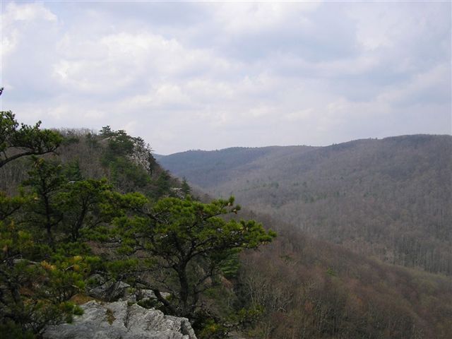 View looking west None