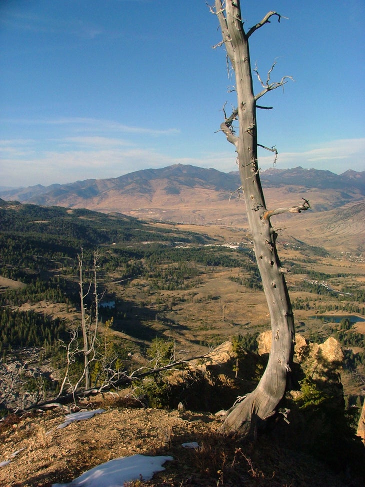 View near Cathedral Rock None