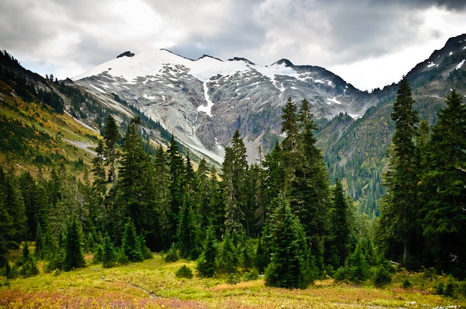 View near Hannegan Pass None