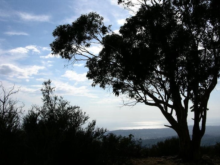 View Near Montecito None