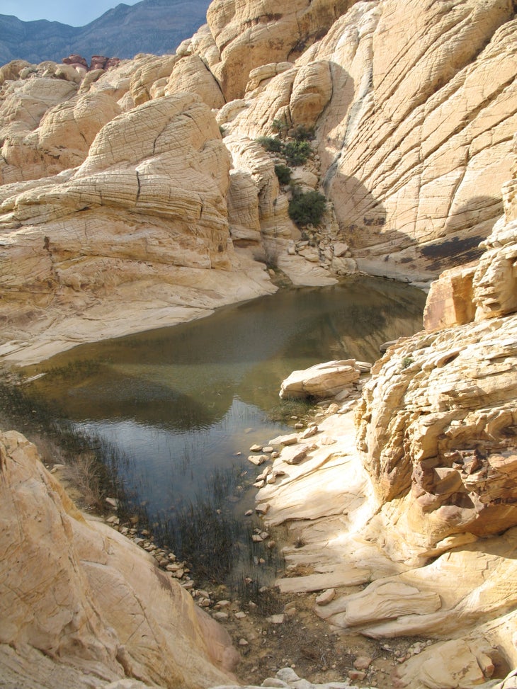 View of Tanks None