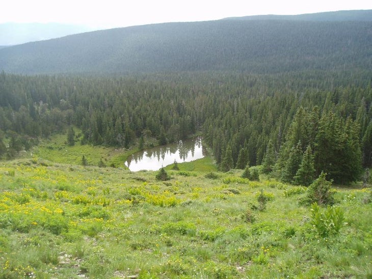 View of the small lake None
