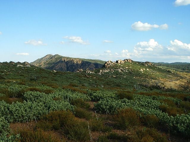 View South None