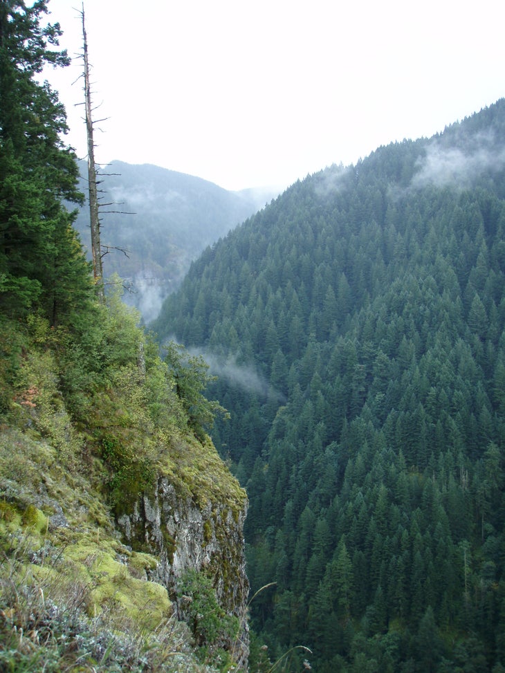 View South None