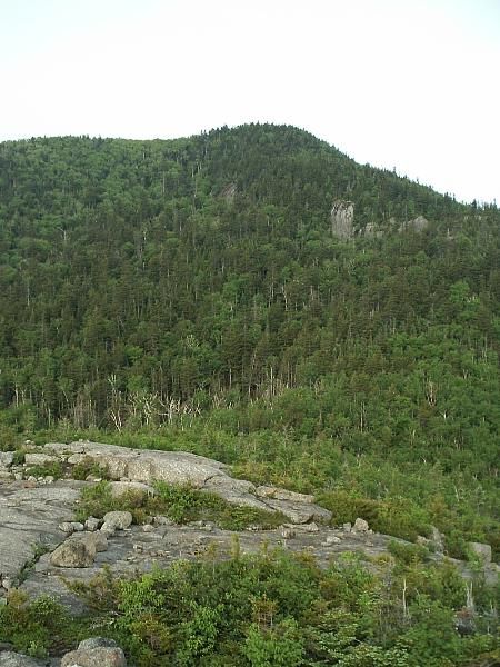 View towards Porter Mountain None