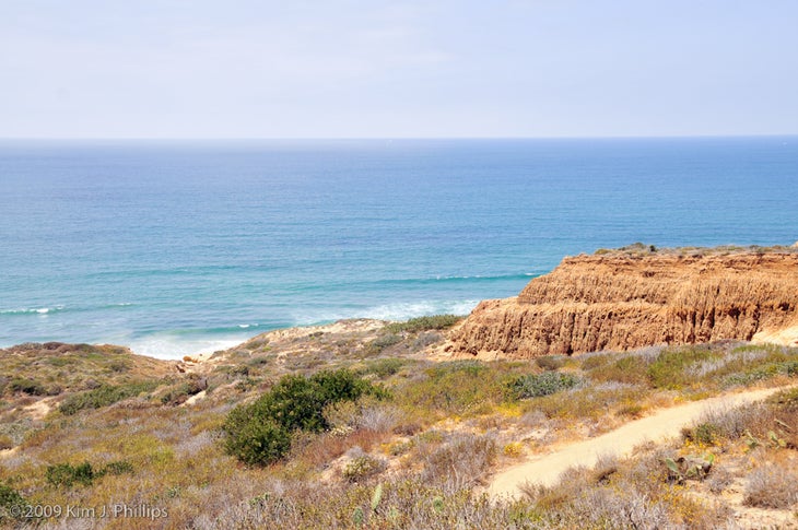 Views from Beach Trail None
