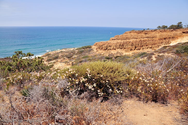 Views from Yucca Point Trail None