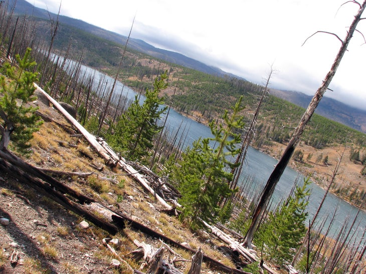 Views of Grizzly Lake None