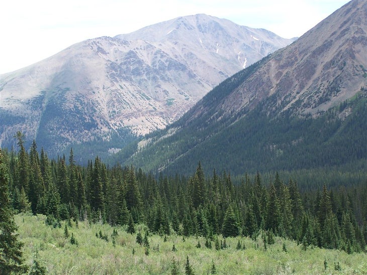 Views of Mount Elbert None