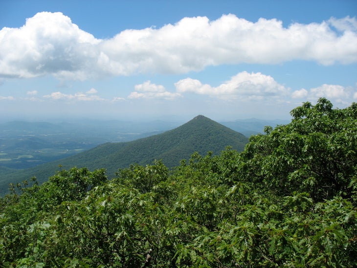 Views of Sharp Top Mountain None