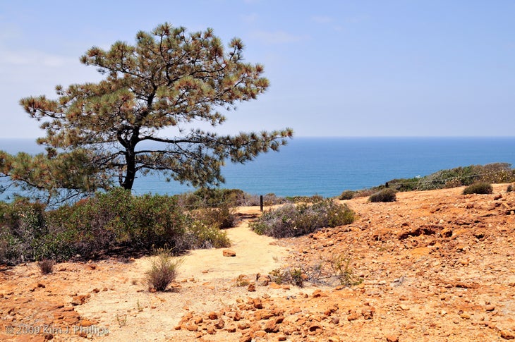 Views of the Pacific None