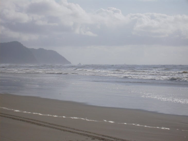 Views of Tillamook Head None