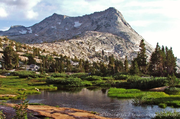 Vogelsang Peak None