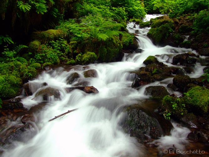 Wahkeena Creek None