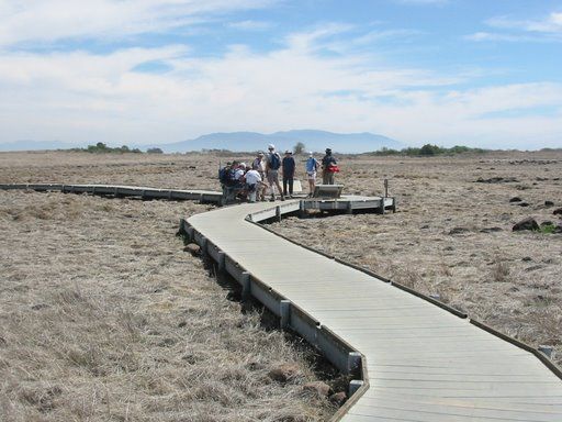 Walkway None
