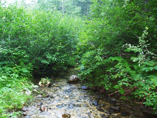 Water Crossing None