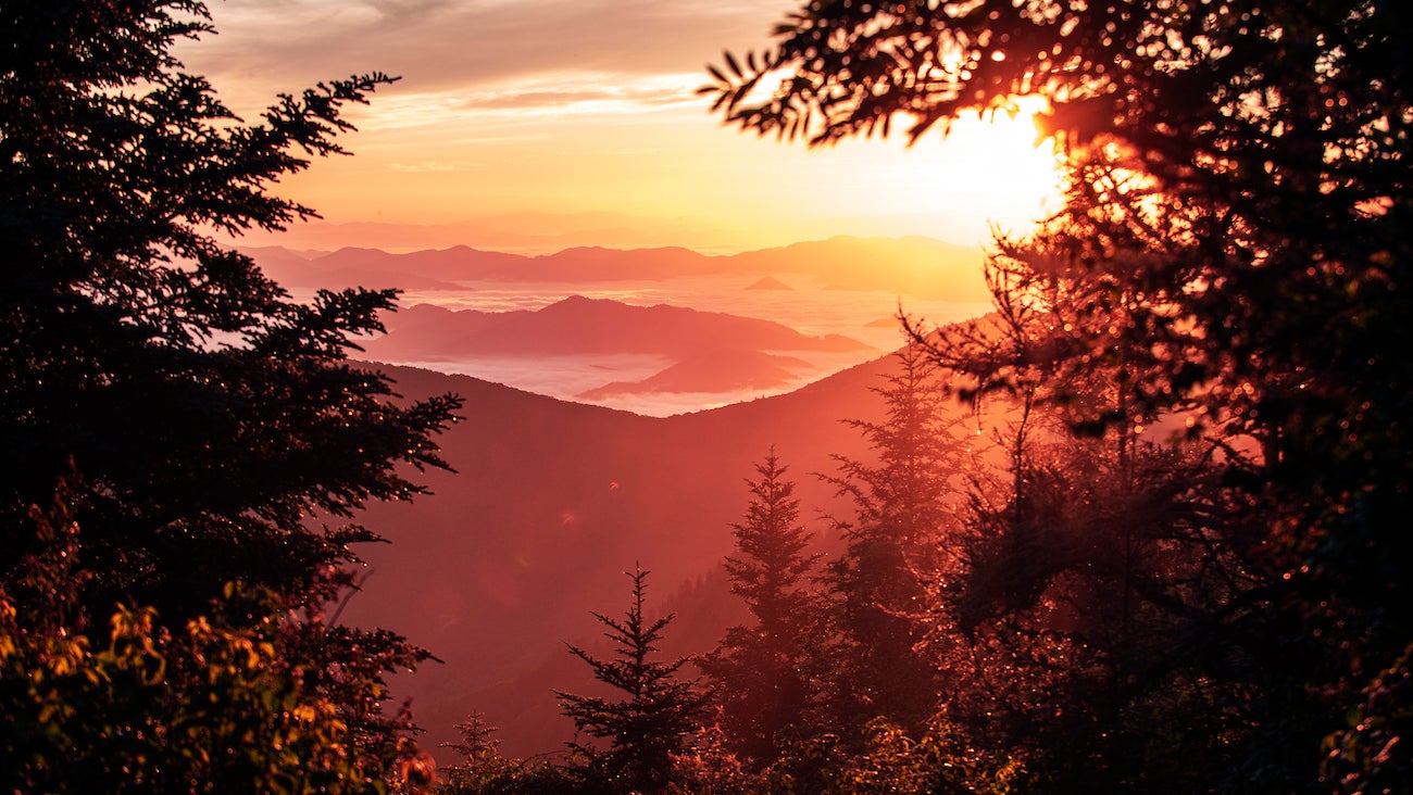 Silhouette of trees against sky during sunset,Waterrock Knob, North Carolina