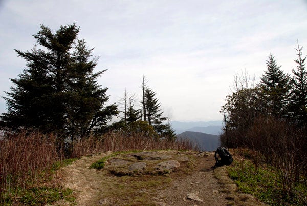 Waterrock Knob None