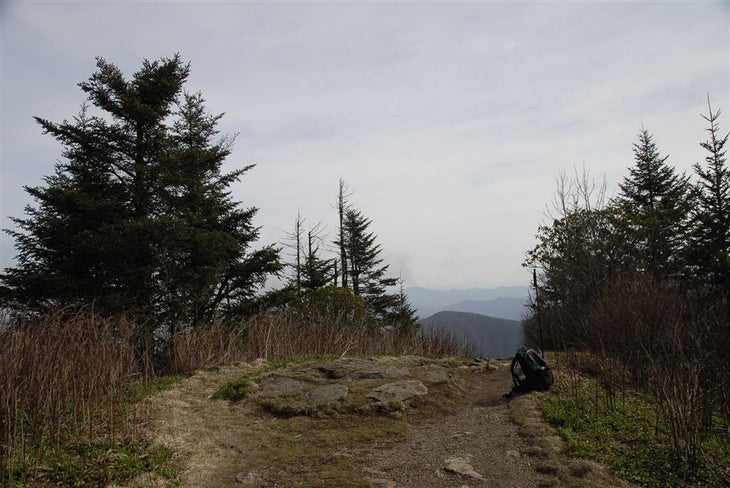 Watterock Knob None