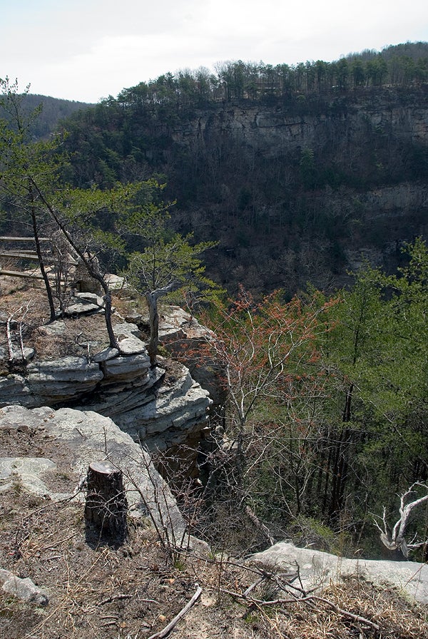 West Rim View None