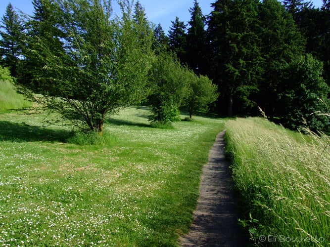 West Side Meadow None