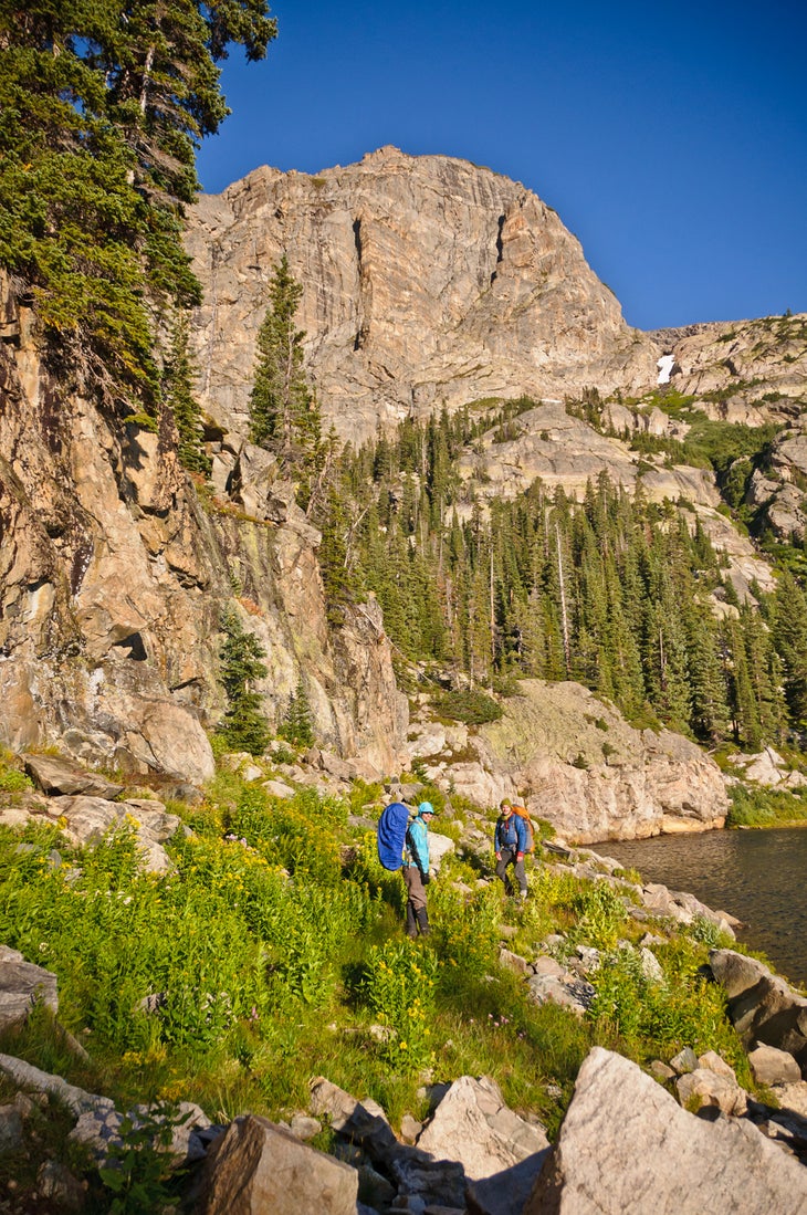 Western edge of Pear Lake None