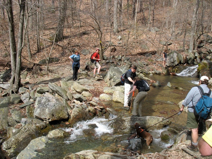 White Rock Creek None