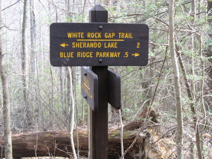 White Rock Gap Trail Junction None