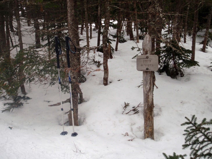Wildcat Ridge Trail Junction None