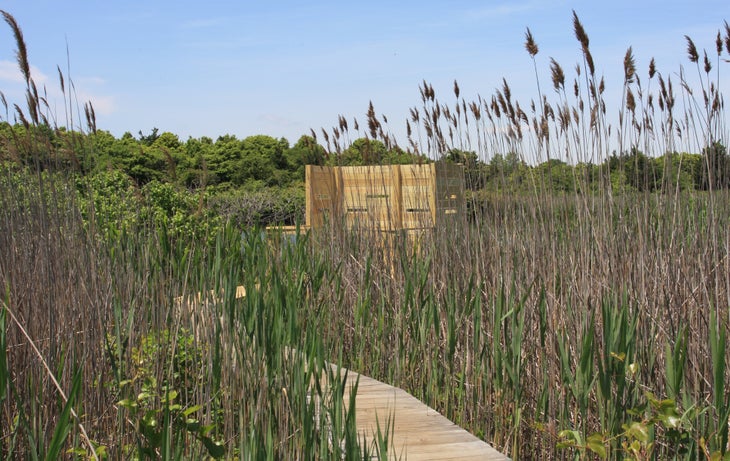 Wildlife Blind None