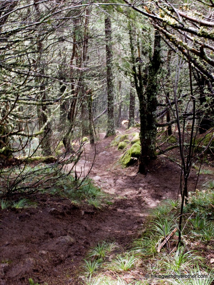 Winding Switchbacks None