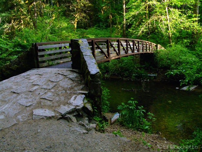 Winter Bridge None