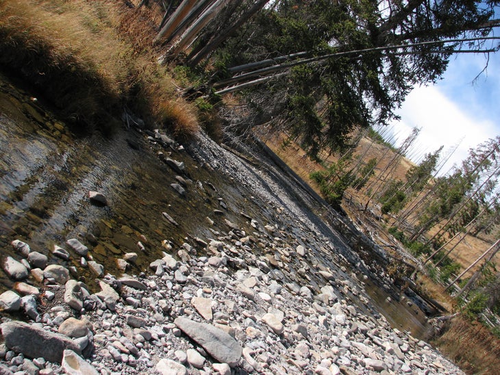 Winter Creek None