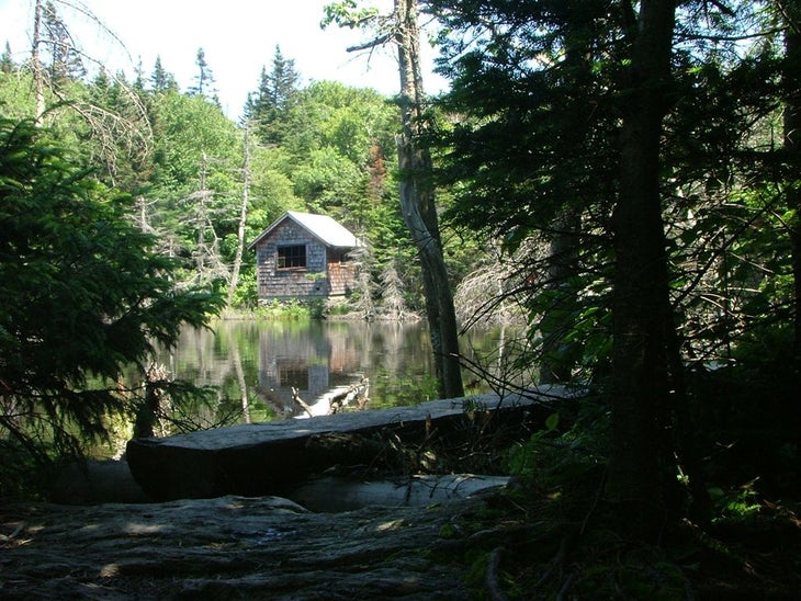 Wooded Pond None