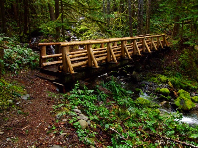 Wooden Bridge None