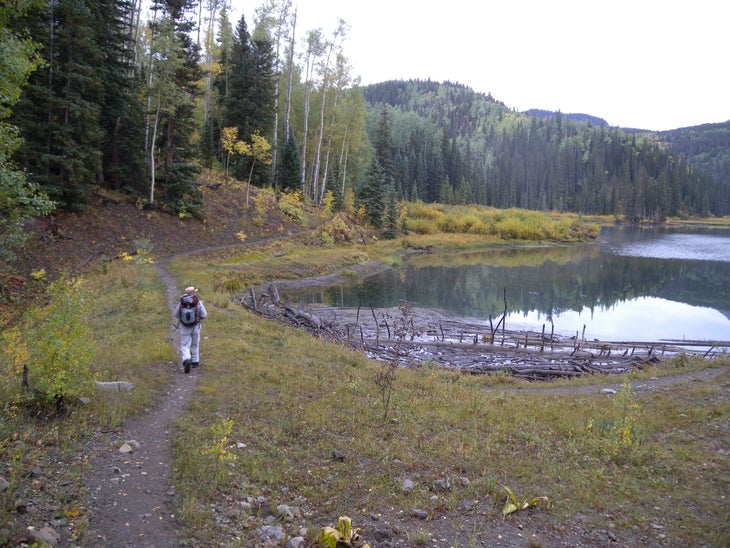 Woods Lake None