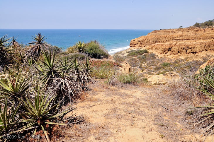 Yucca Point Trail None