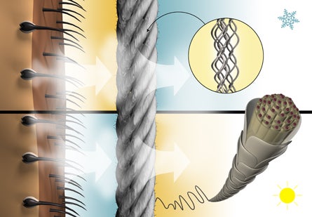 "sept 2010 gear school merino wool 445"