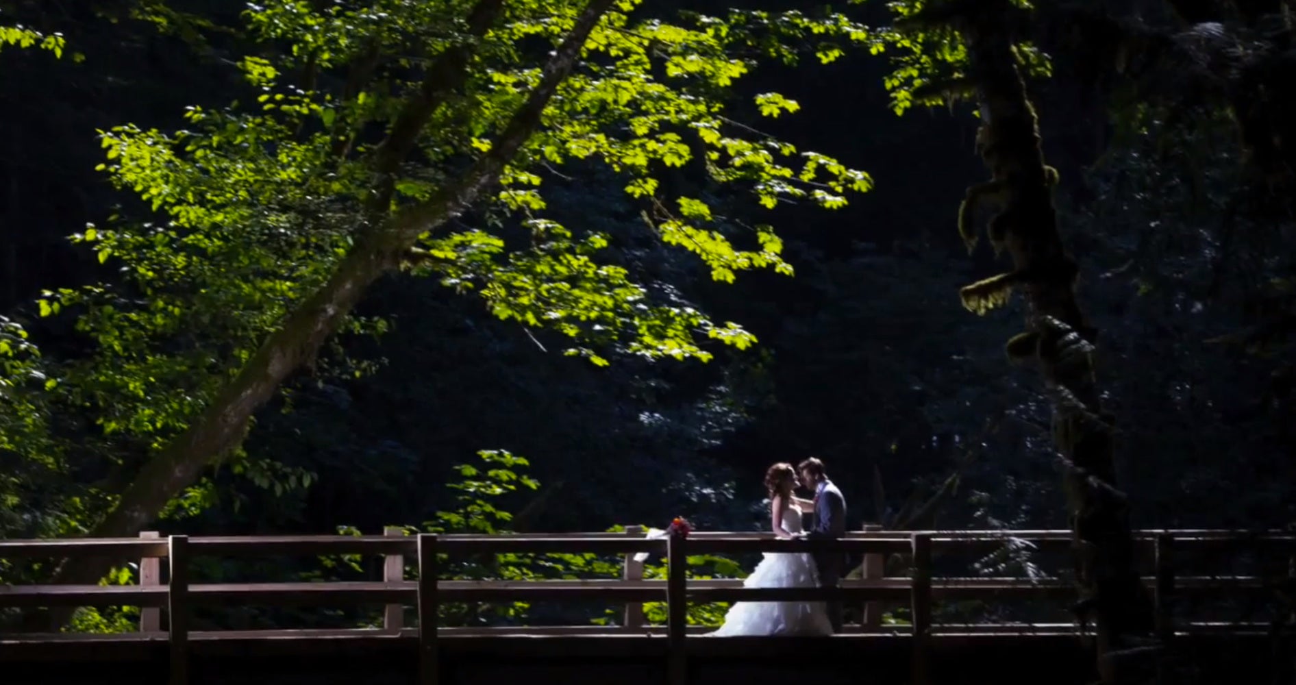 "National Park Weddings and Engagements"