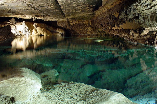 Forestville/Mystery Cave State Park, Preston, MN See stalactites, stalagmites, and underground pools in the Mystery Cave, then head above ground for some blue-ribbon trout fishing in three different…
