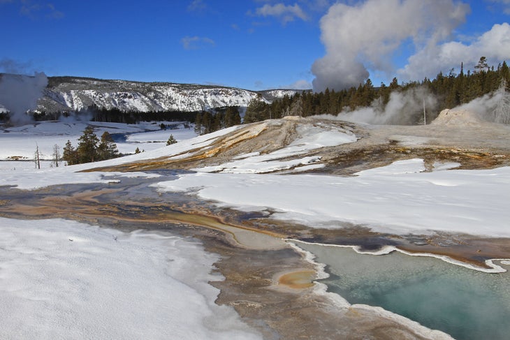 Yellowstone NP Considering the number of visitors each year, Yellowstone thankfully sees very few fatalities. Injuries, however, are a different story; park…