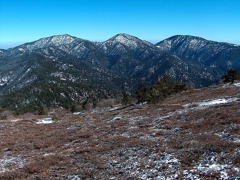 "image: Wikimedia Commons"