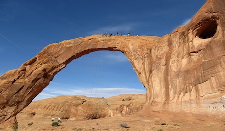 "image: Ken Lund/Flickr"