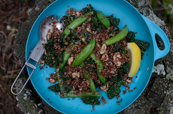 Quinoa Salad with Kale Quinoa Salad with Kale served with: Optimus Titanium Folding Spork: $14.95, .63 oz www.optimusstoves.com Sea to Summit Delta Plate in Pacific Blue:…